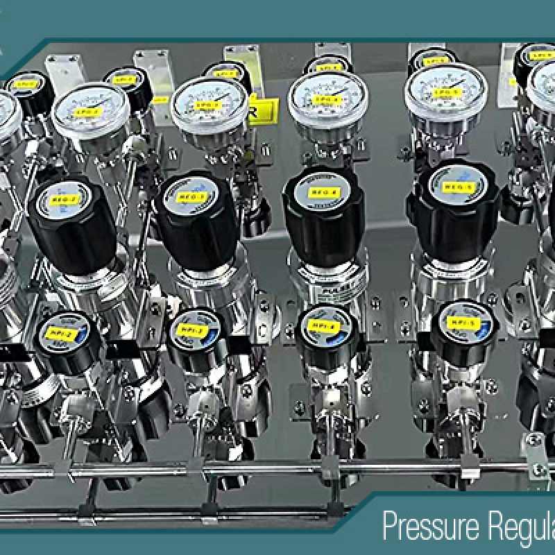 nitrogen manifold panel for individual gas cabinet and valve manifold box