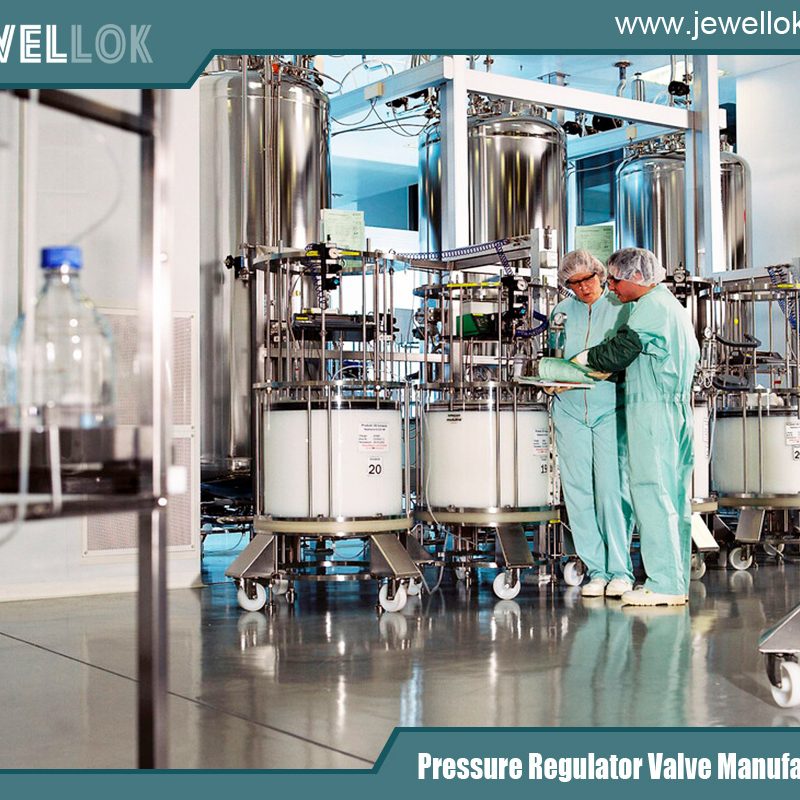 Stainless Steel Needle Valves Manufacturer